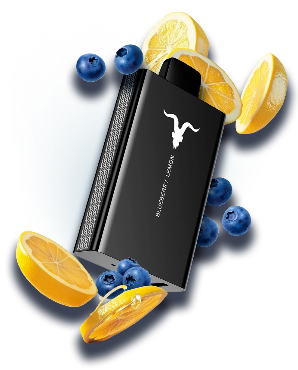 Ignite V80 – Blueberry Lemon