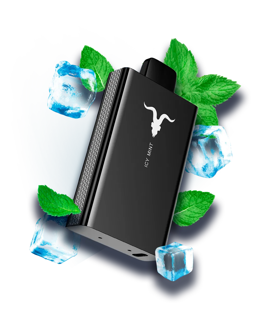 Ignite V80 – Icy Mint