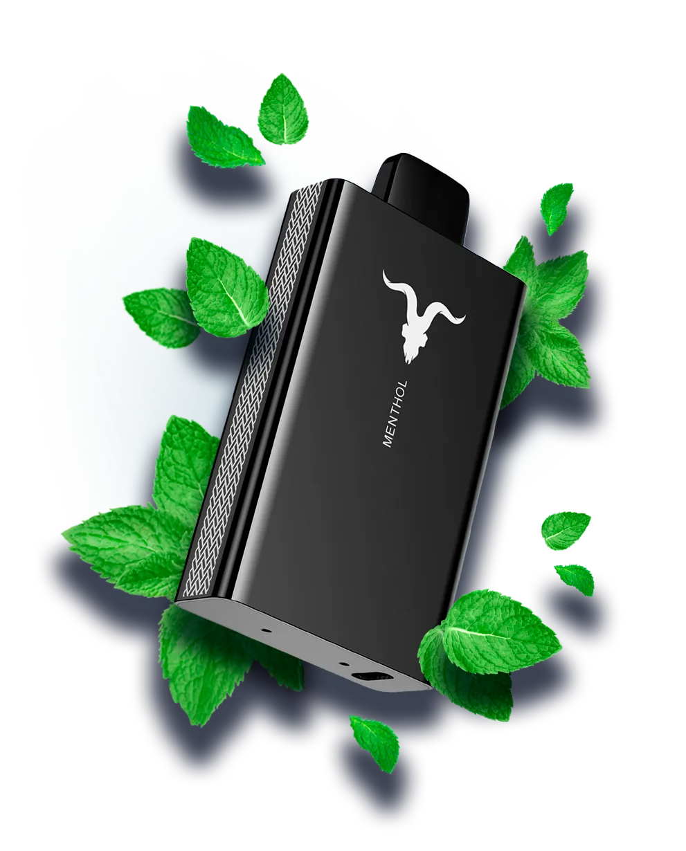 Ignite V80 – Menthol